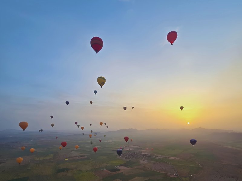 Hot air balloons over the Marrakech palm grove at sunrise